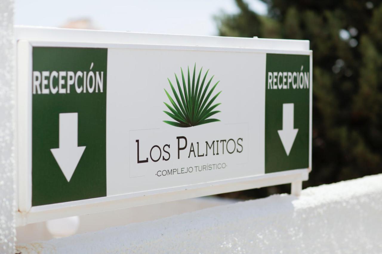 Los Palmitos Peñíscola Eksteriør billede